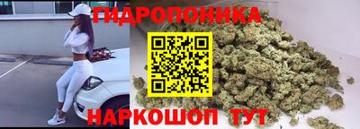 спиды Краснодар
