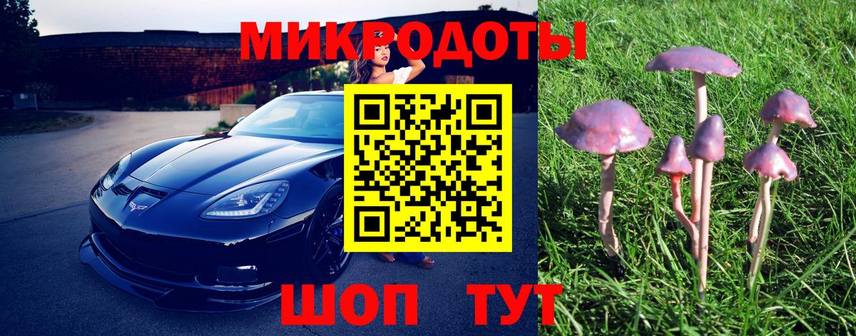 Королёв  Галлюциногенные грибы мицелий  Вход с VPN 